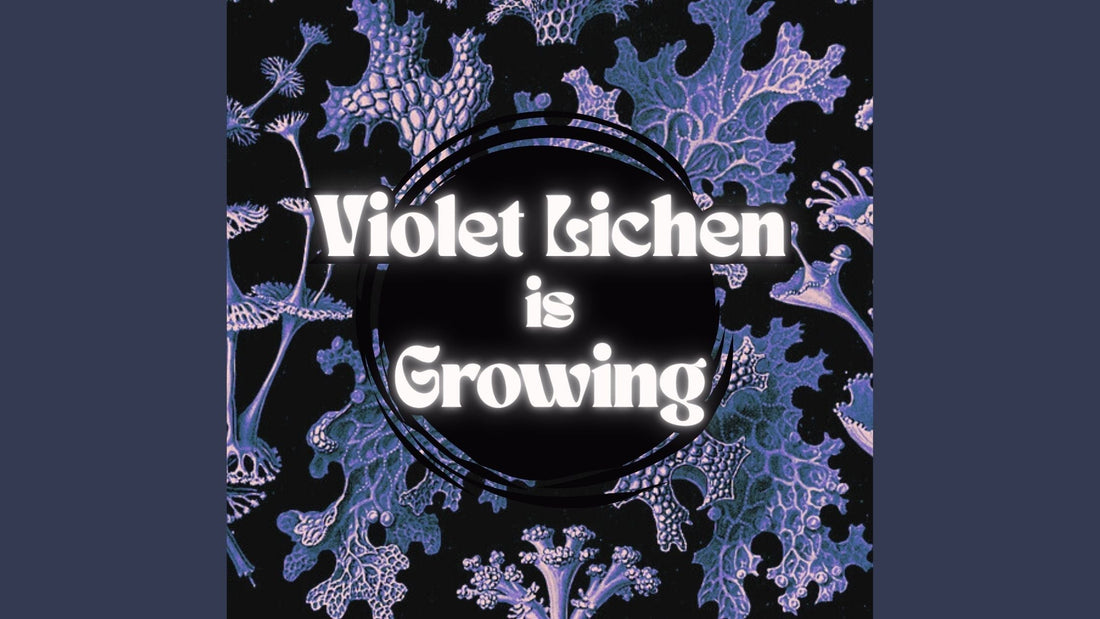 Violet Lichen Books welcomes new managing editor