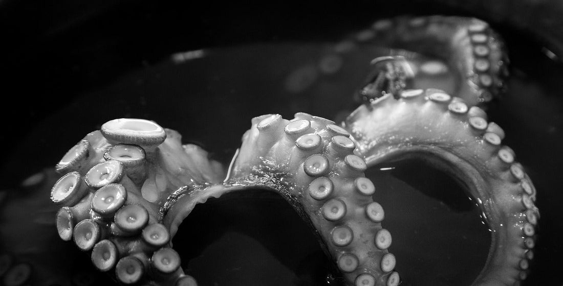 Preorders Are Live for MULTITUDE!