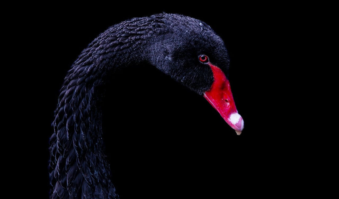 Looking into the Future