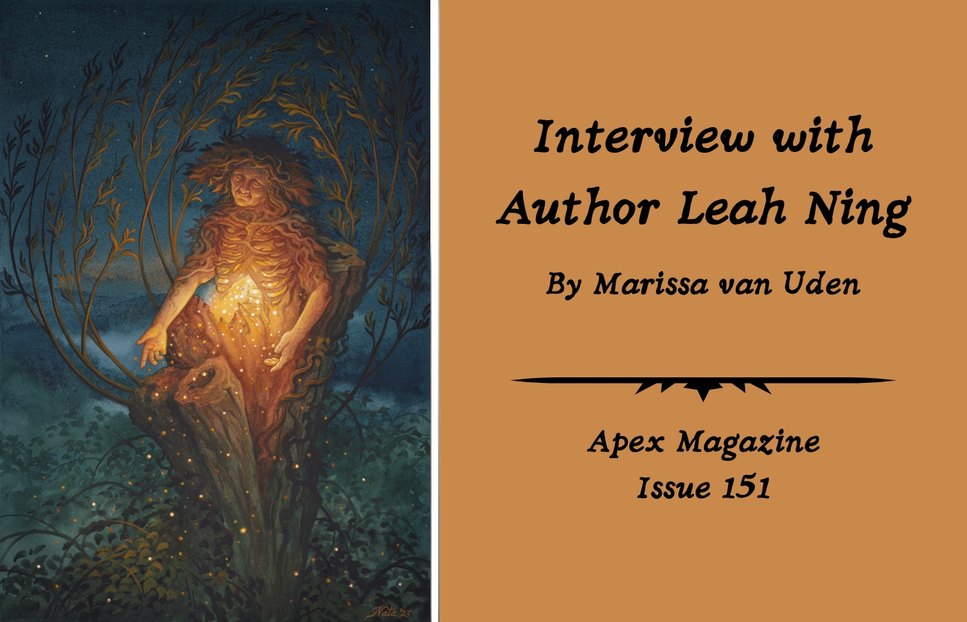 Interview with Author Leah Ning