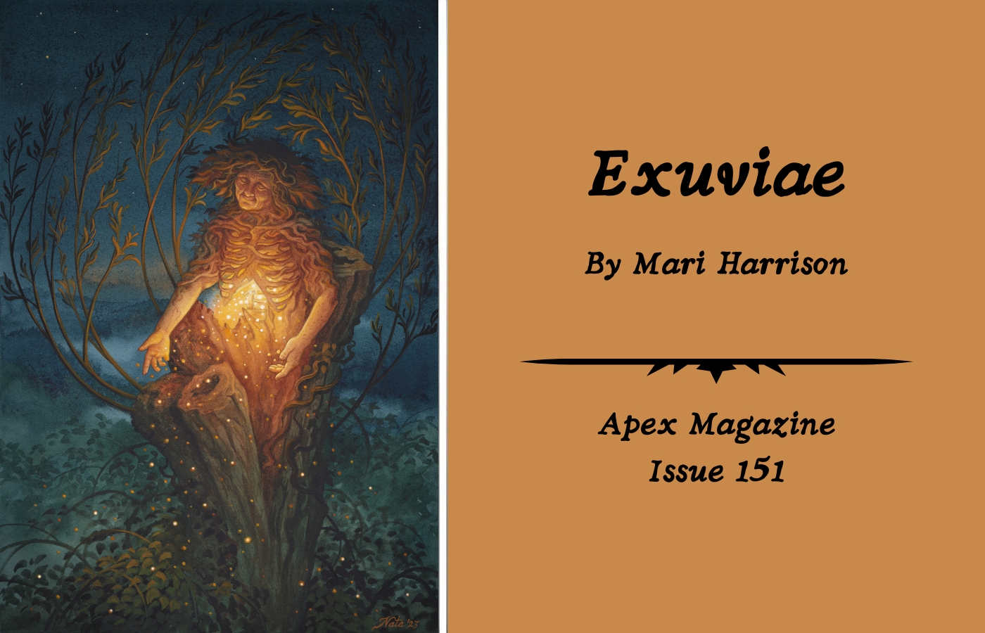 Exuviae