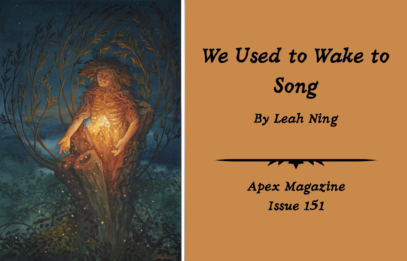 We Used to Wake to Song