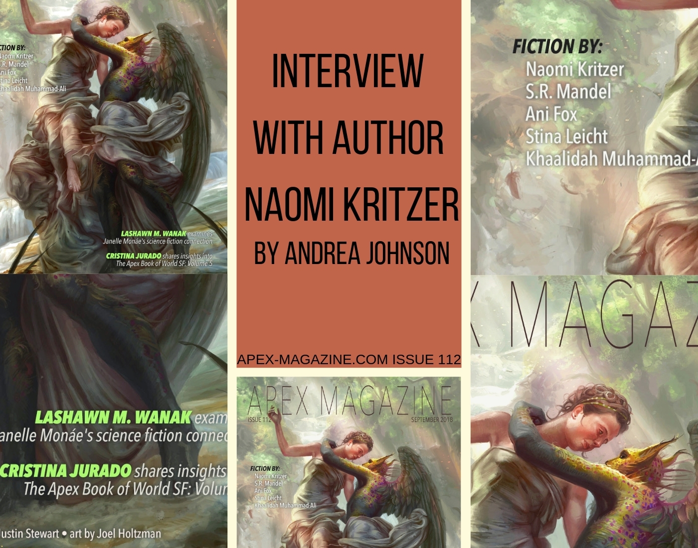 Interview with Author Naomi Kritzer
