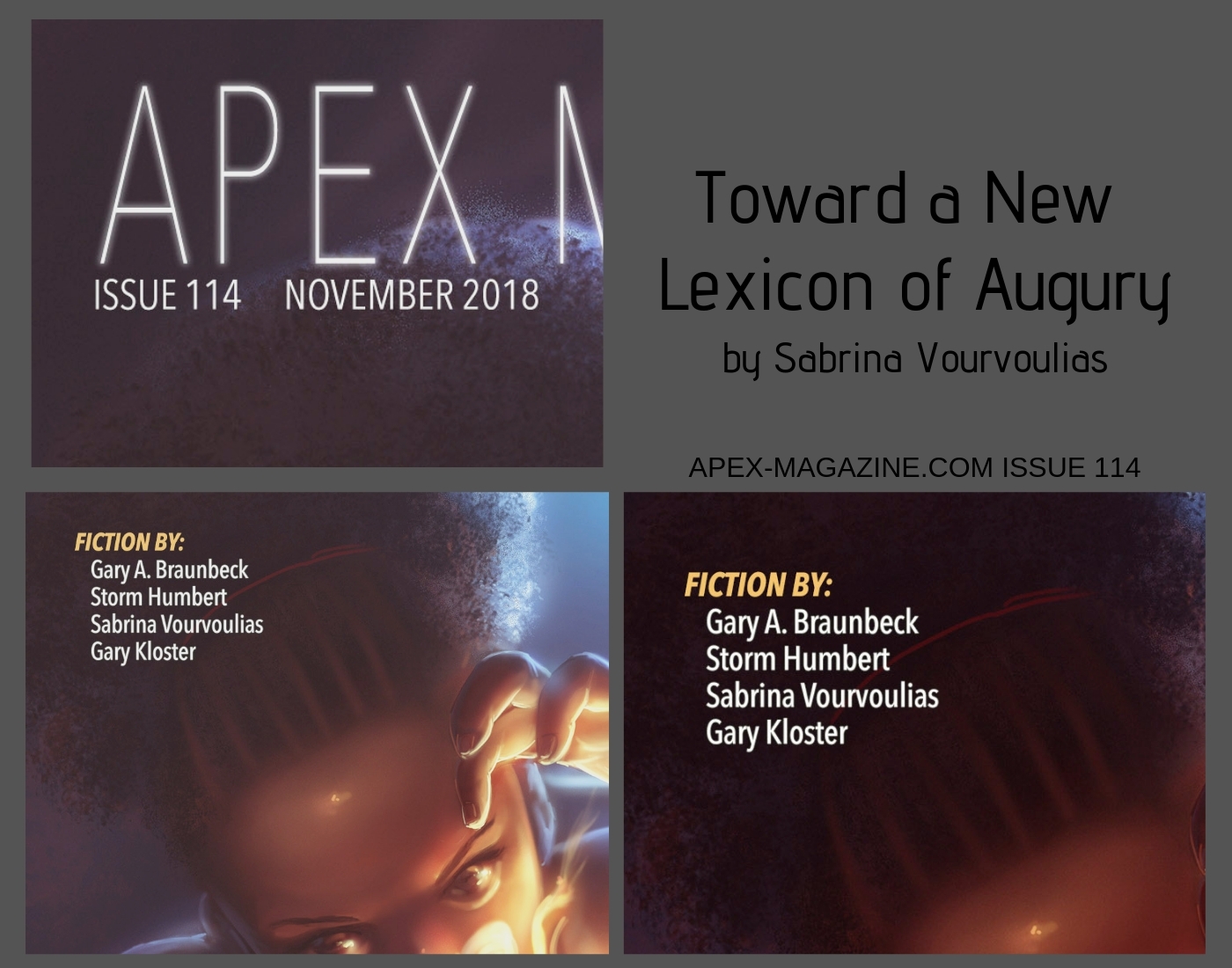 Toward a New Lexicon of Augury