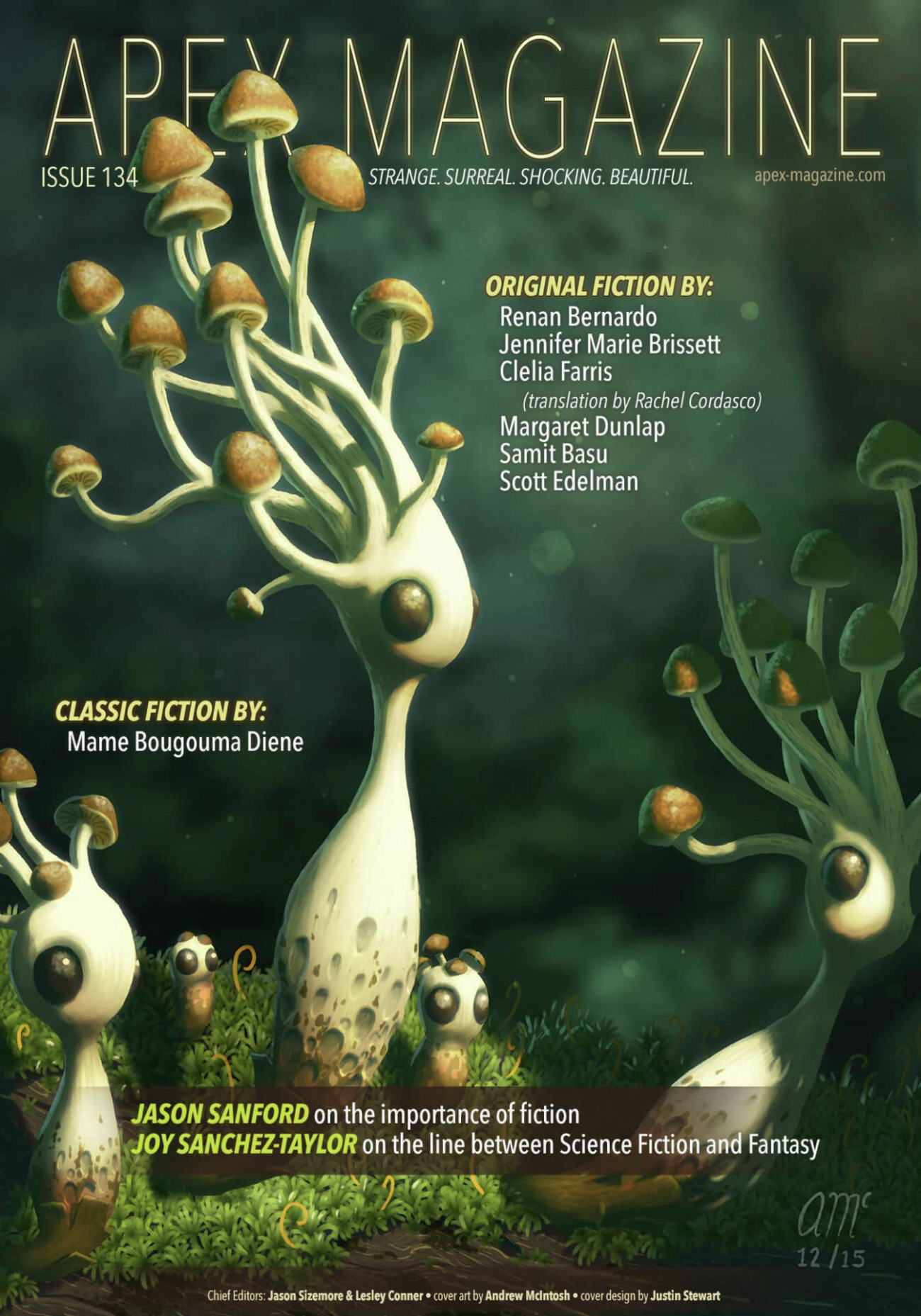 Issue 134