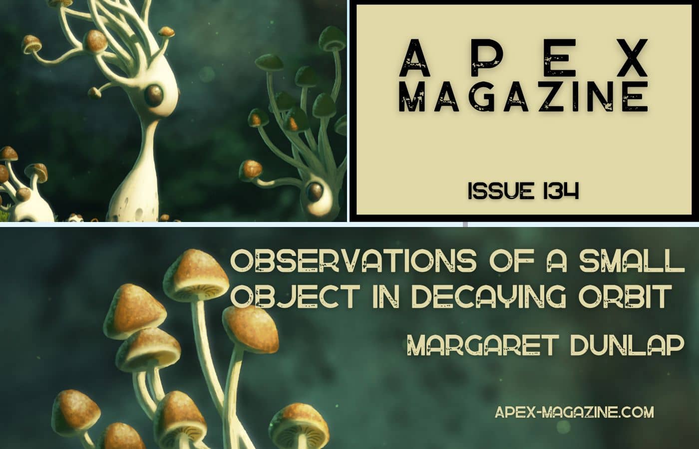 Observations of a Small Object in Decaying Orbit