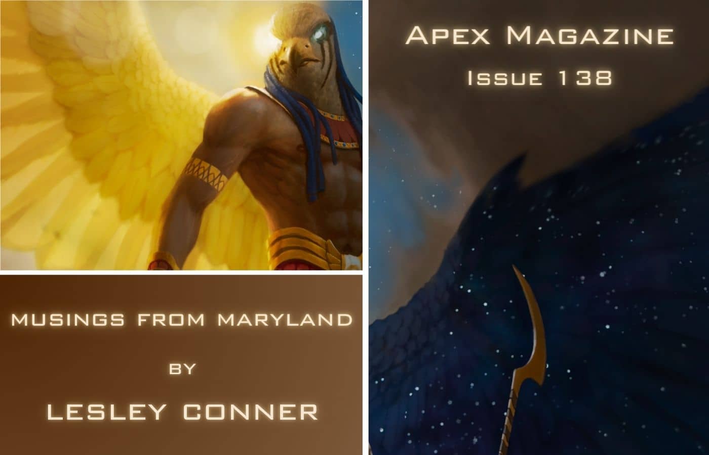 Musings from Maryland