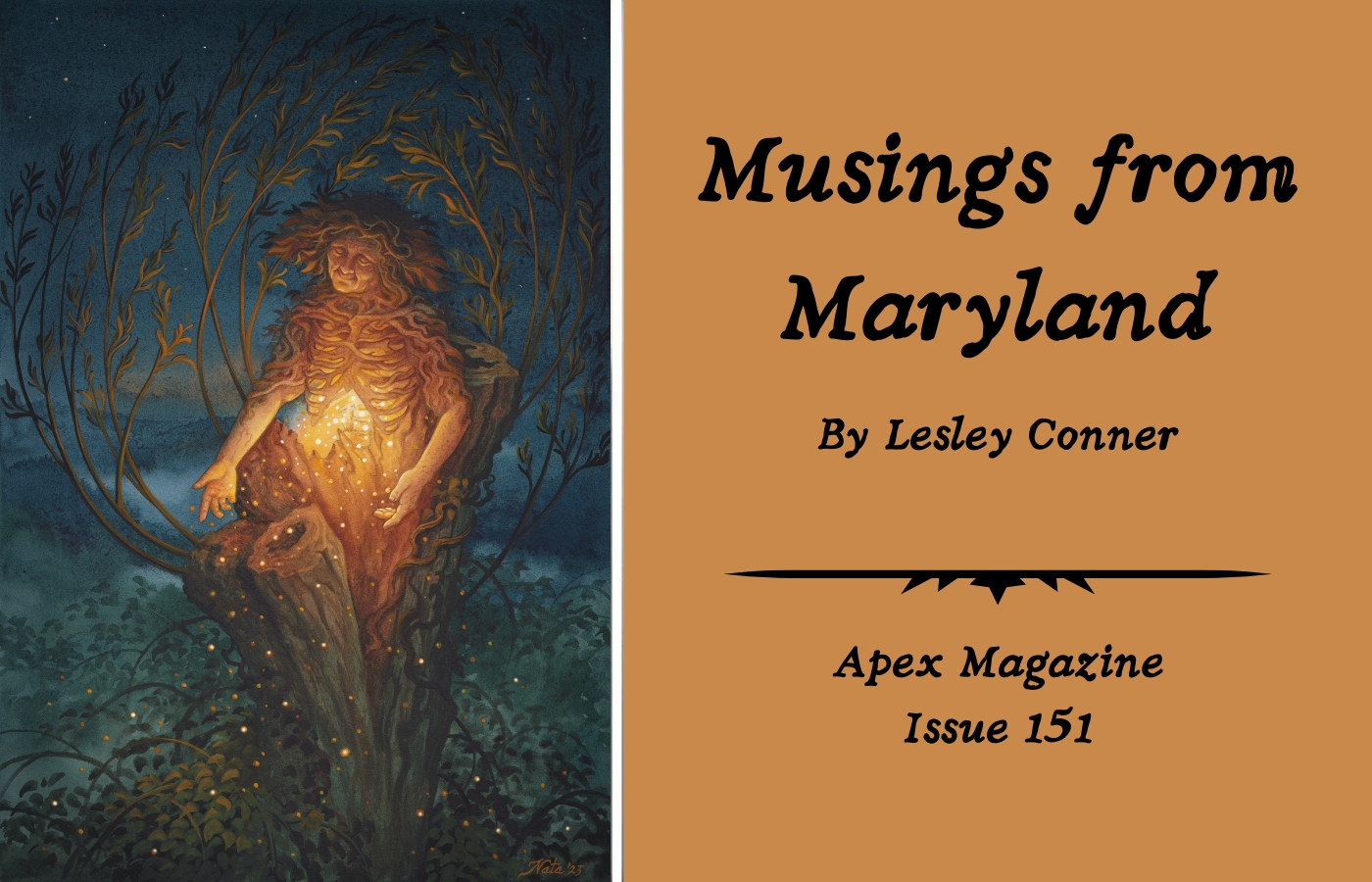Musings from Maryland