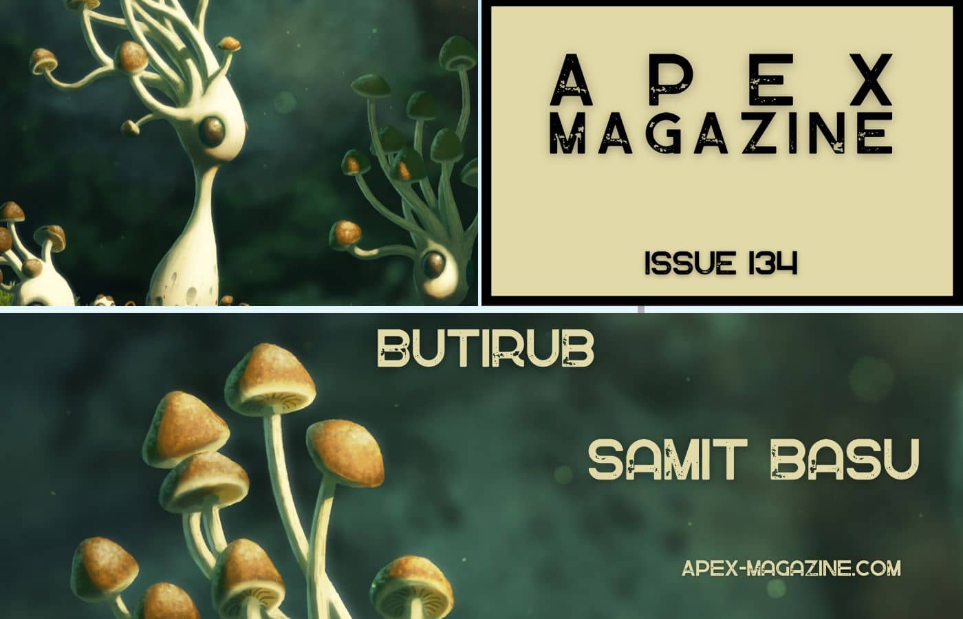 Butirub