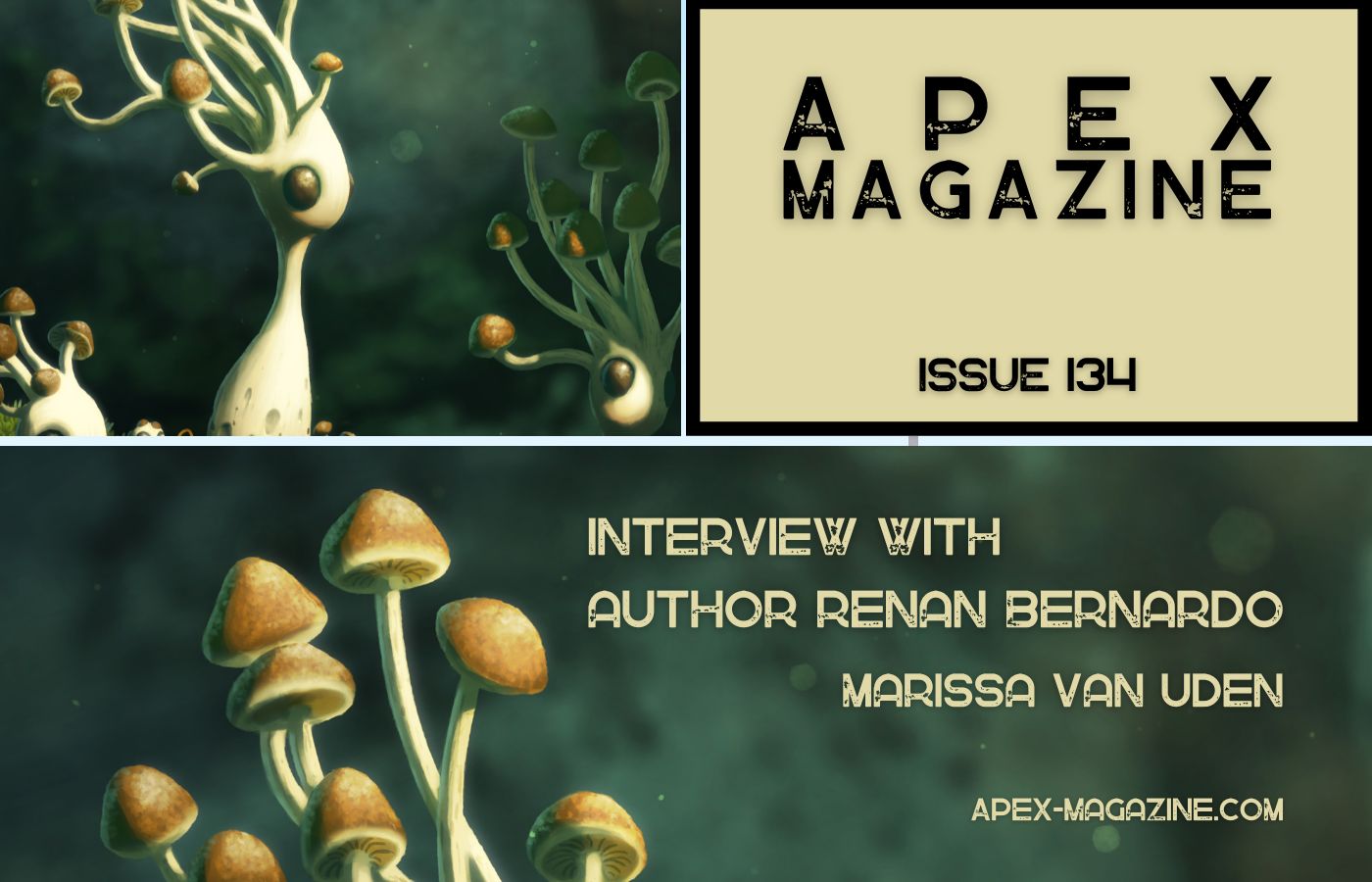 Interview with Author Renan Bernardo