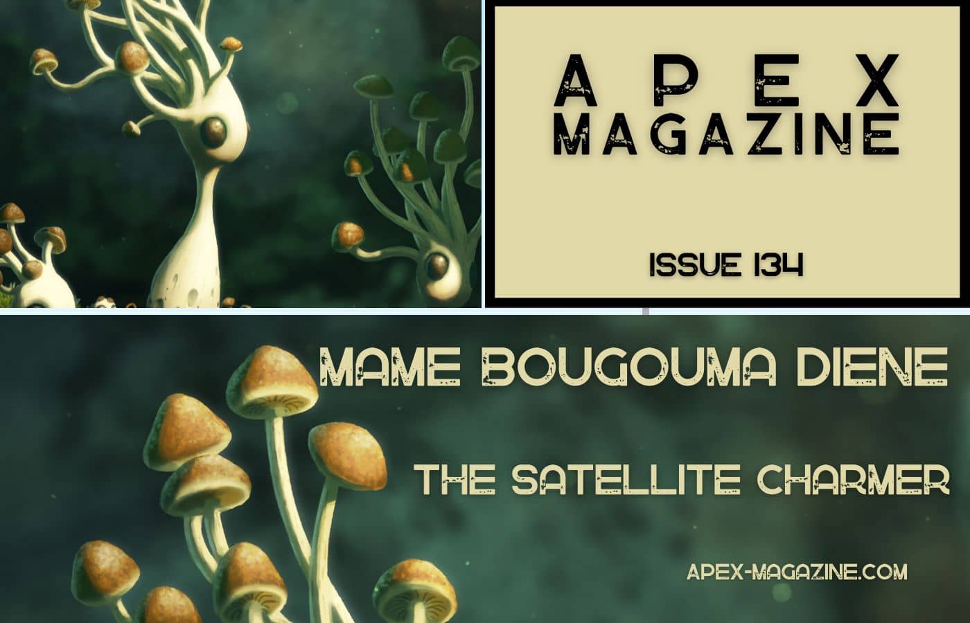 The Satellite Charmer