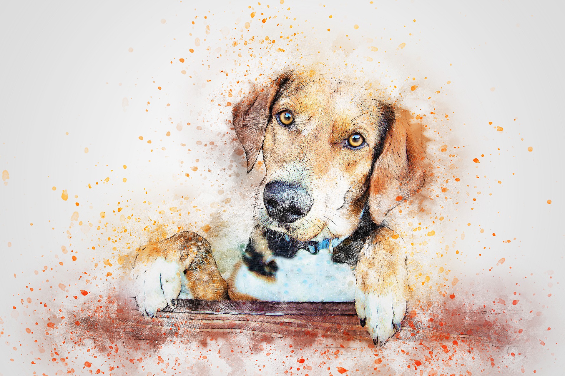 Episode #67: On the Day You Spend Forever with Your Dog