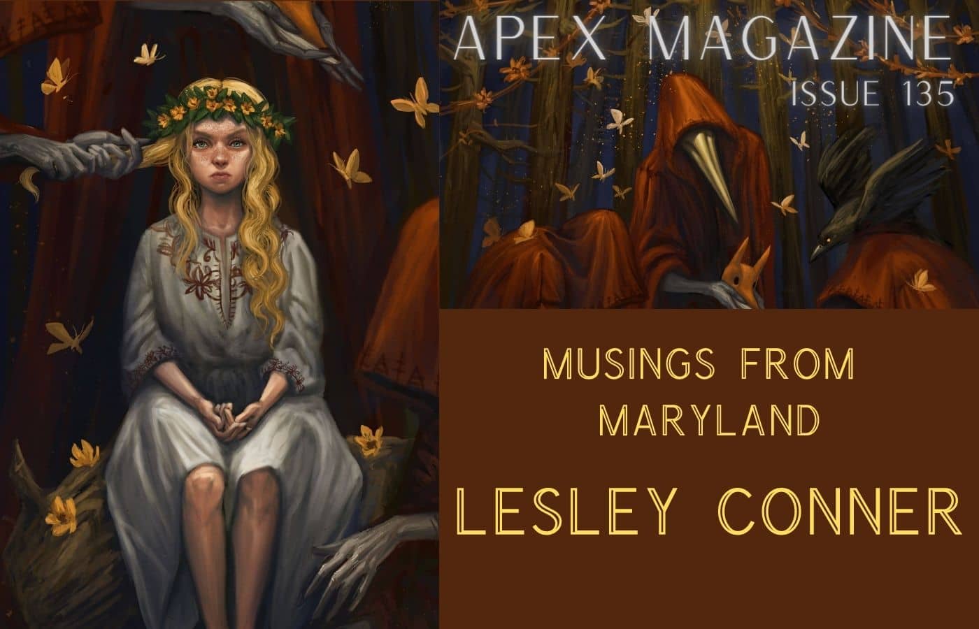 Musings from Maryland