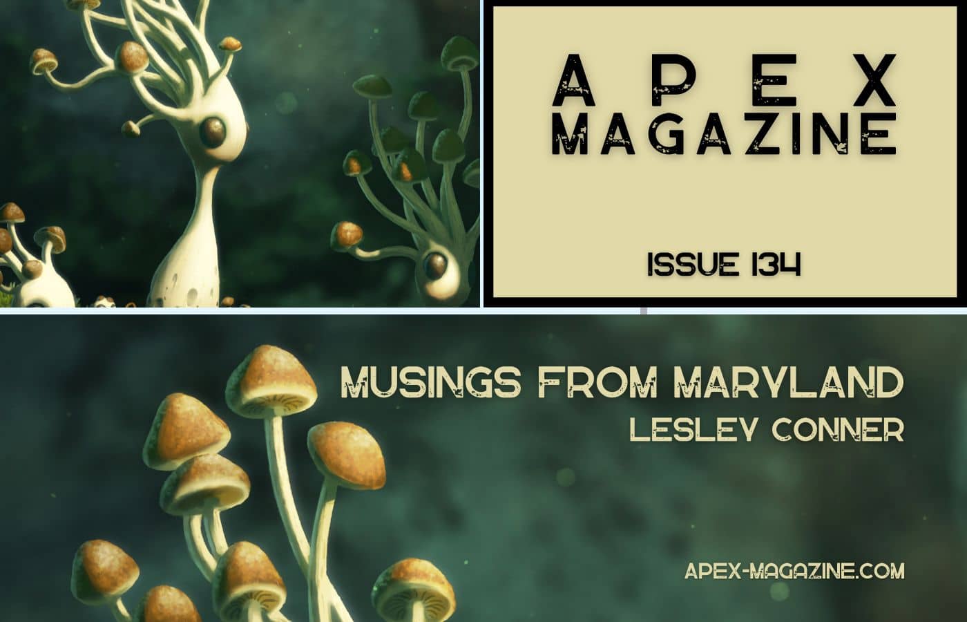 Musings from Maryland