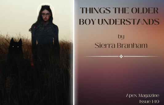 Things the Older Boy Understands
