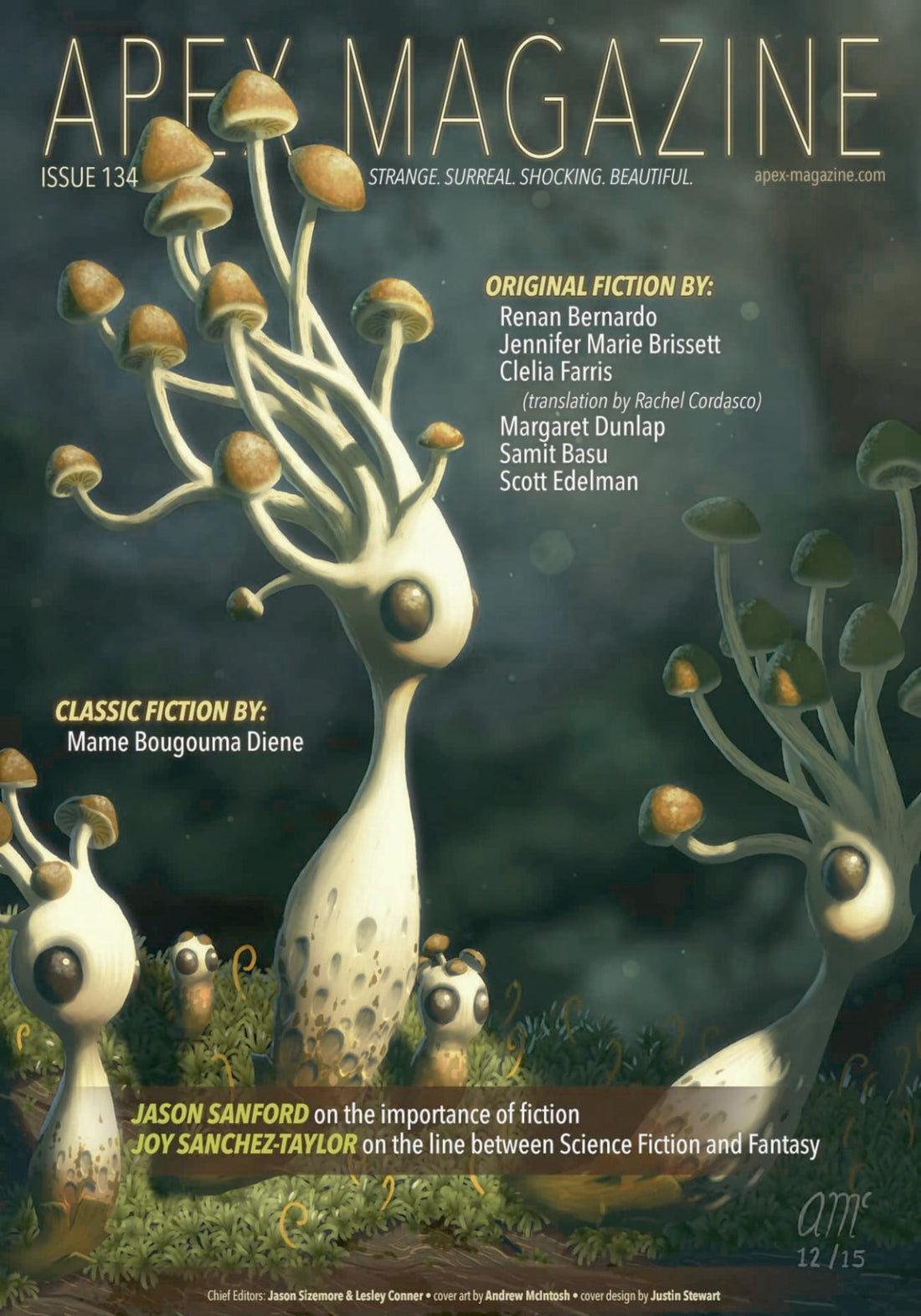 Issue 134