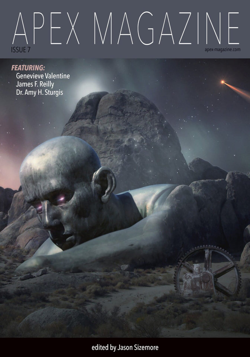 Issue 7