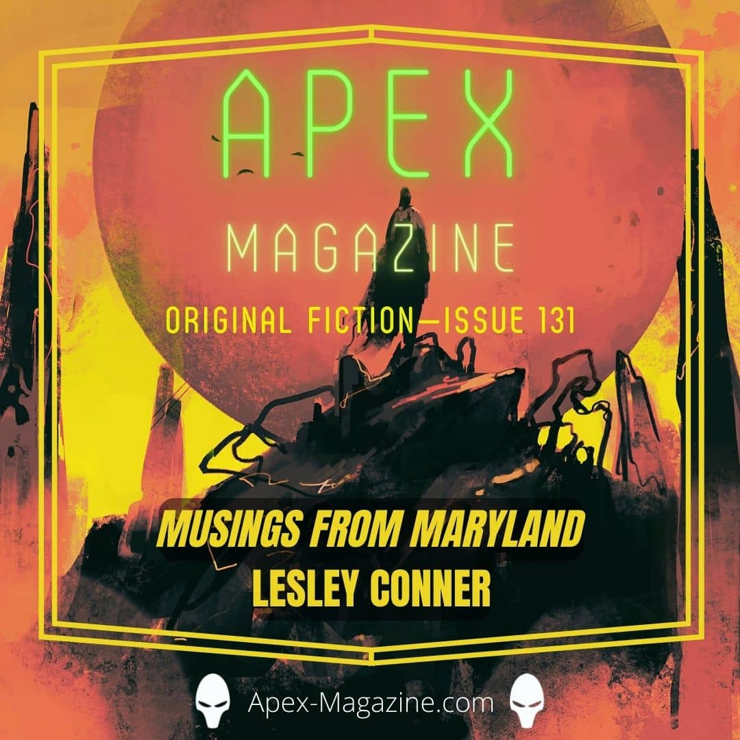 Musings from Maryland