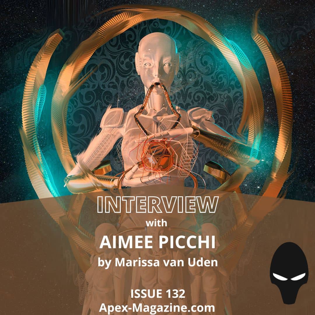 Interview with Author Aimee Picchi