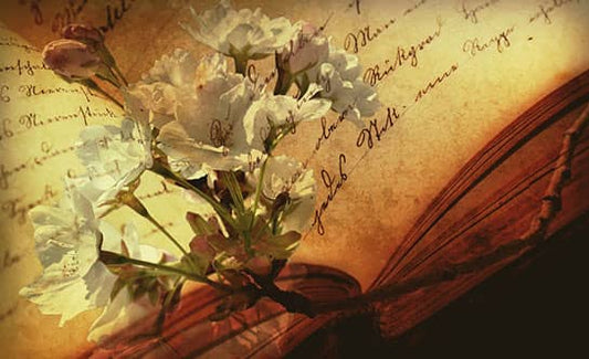 The Green Book