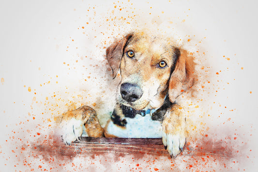 Episode #67: On the Day You Spend Forever with Your Dog
