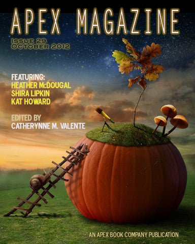 ISSUE 29