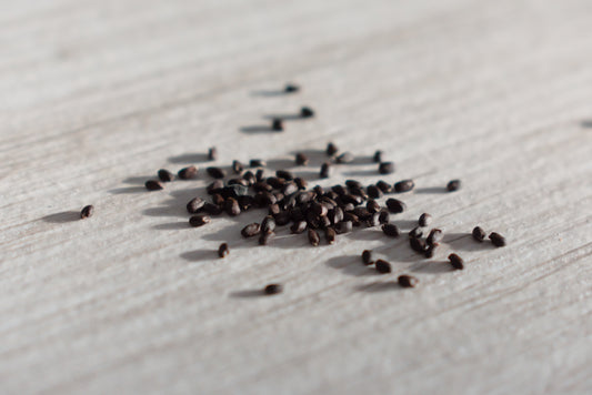 PLAGUE BIRDS: THE RED DAY EDITION Microfiction Contest - Third Place Tie! - "The Seed Place" by Myisha Mastersson