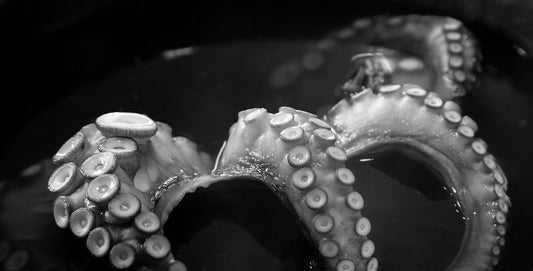 Preorders Are Live for MULTITUDE!