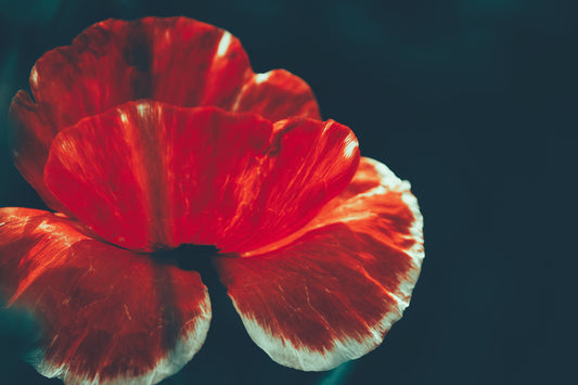 Interview Series with Jason Sanford! Part One: The Past