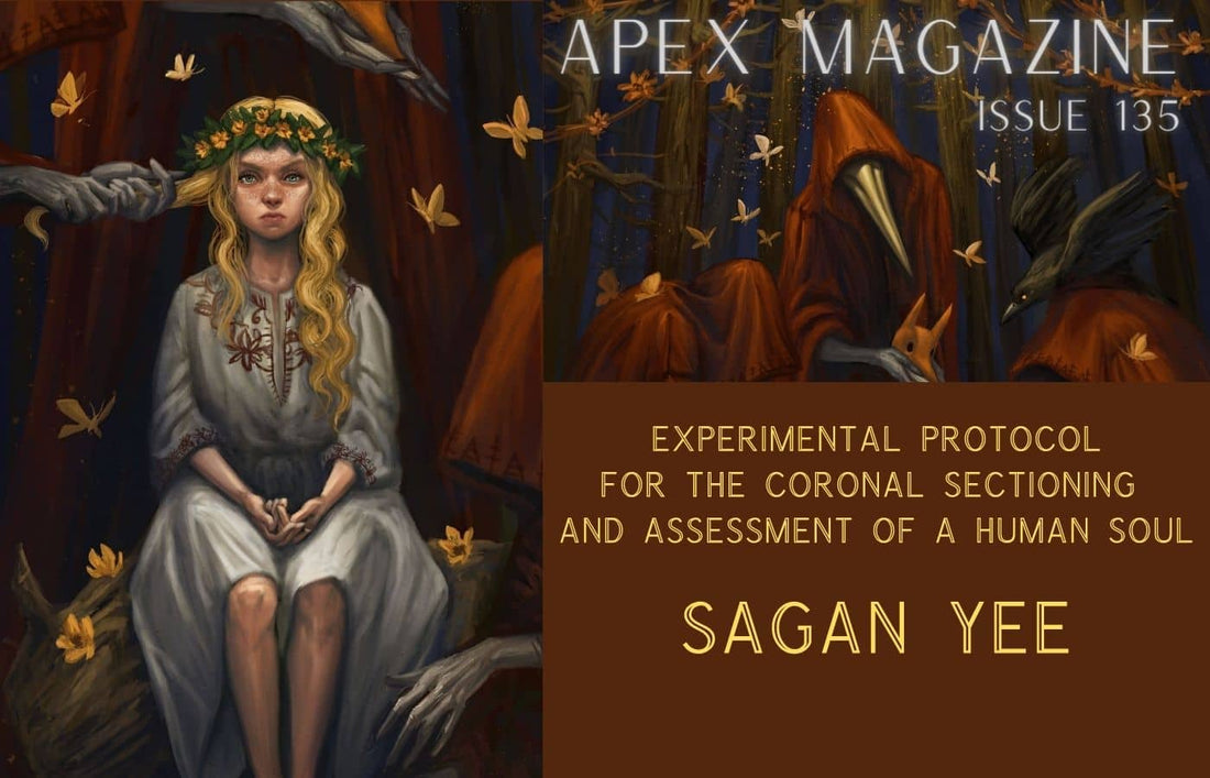 Experimental Protocol for the Coronal Sectioning and Assessment of a Human Soul
