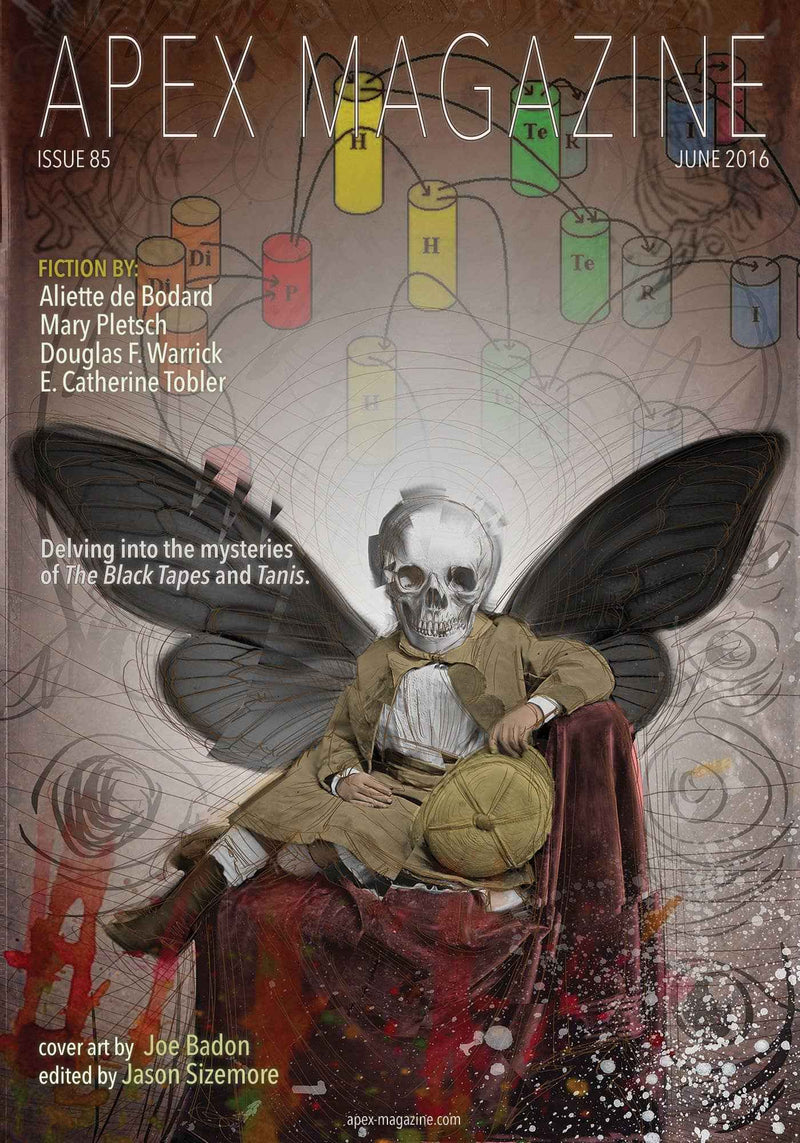 Cover of Apex Magazine Issue 85