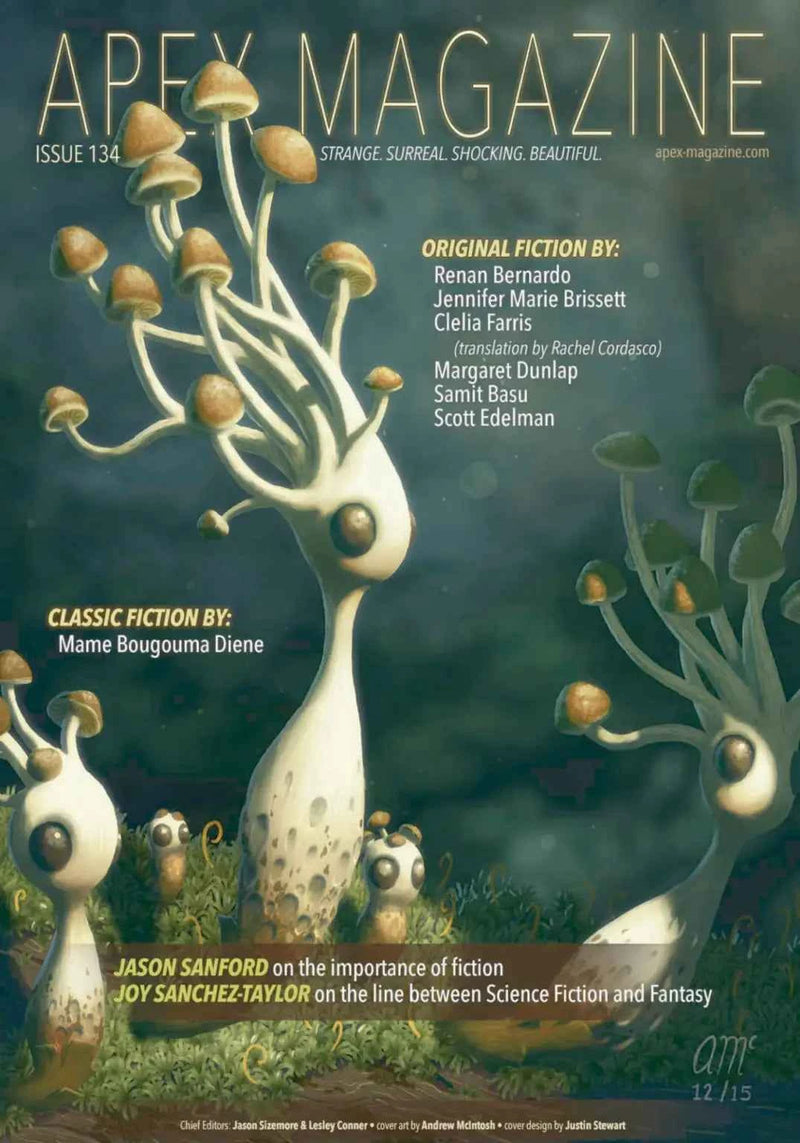 Cover of Apex Magazine Issue 134