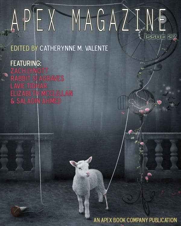 Cover of Apex Magazine Issue 27
